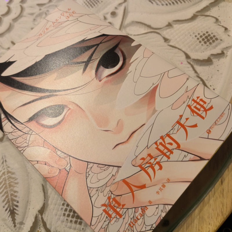 Japanese Lifestyle Books - Fumetto originale giapponese di Angel, a