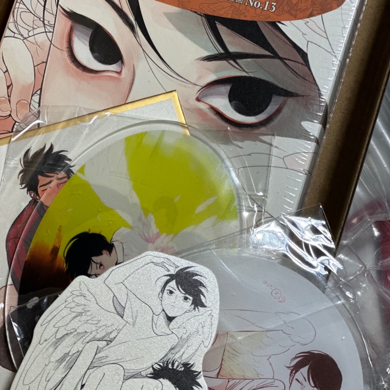 Fumetto originale giapponese d - Japanese Lifestyle Books recensione e prezzo