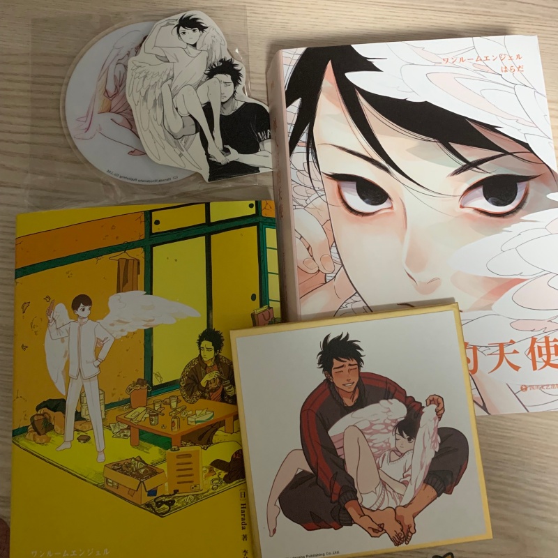 Fumetto originale giapponese d - Japanese Lifestyle Books recensione e prezzo